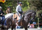 Pferd International 197